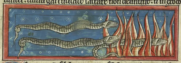 Framed Print : Salamanders crawl through flames