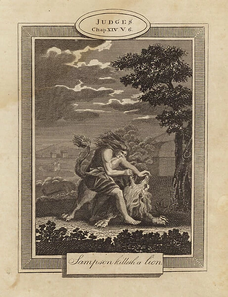 Sampson kills a lion (engraving)