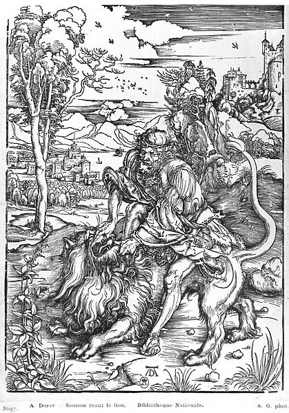Samson slaying the lion, c. 1496-98 (woodcut) (b  /  w photo)