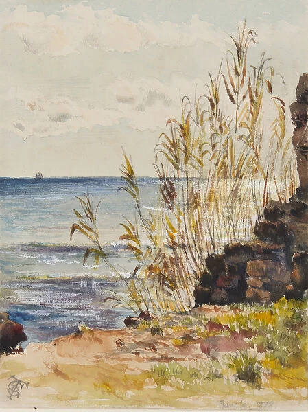 At San Remo looking over the Mediterranean, 10th January 1878 (w  /  c & gouache on paper)