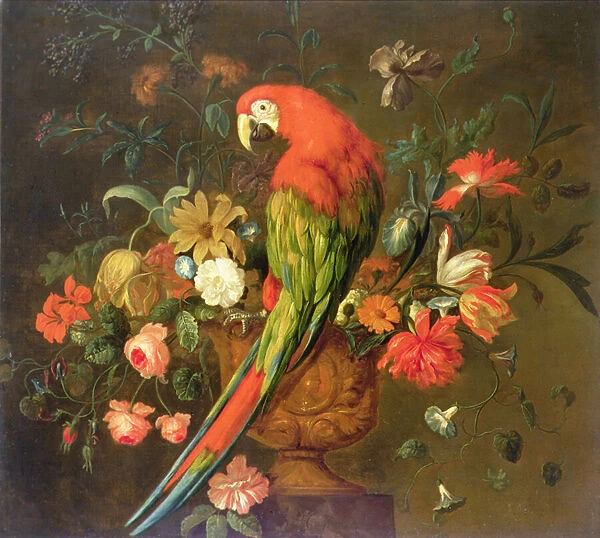 Scarlet Macaw Perched on a Sculpted Urn with Flowers (oil on canvas)