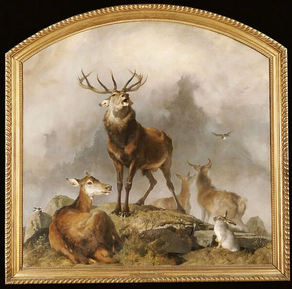 Scene in Braemar - Highland Deer (oil on canvas)