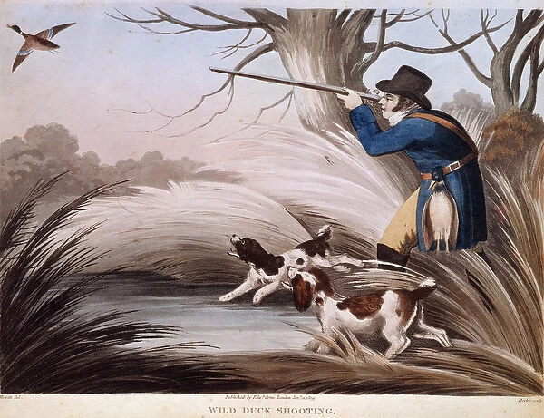 Scene of duck hunting in England. 19th century lithograph Gien, hunting museum