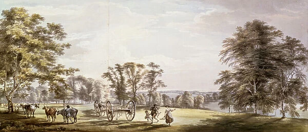 A Scene in the Earl of Butes Park at Luton 1763-65 (pencil, pen & ink
