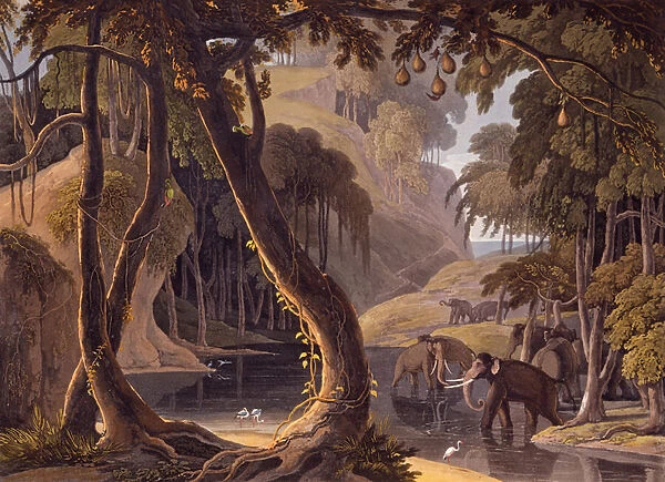 Scene in Sitsikamma - elephants with herons at a pool, from