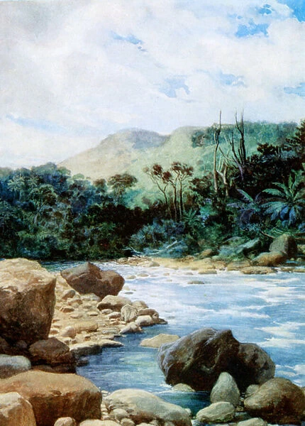 Scenery in Eromanga, New Hebrides, 1908 (colour litho)