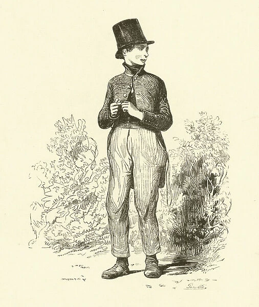 The Schoolboy (engraving)