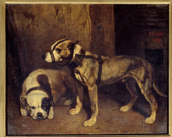 Scottish Bulldog and Terrier Painting by Alexandre Gabriel Decamps (1803-1860