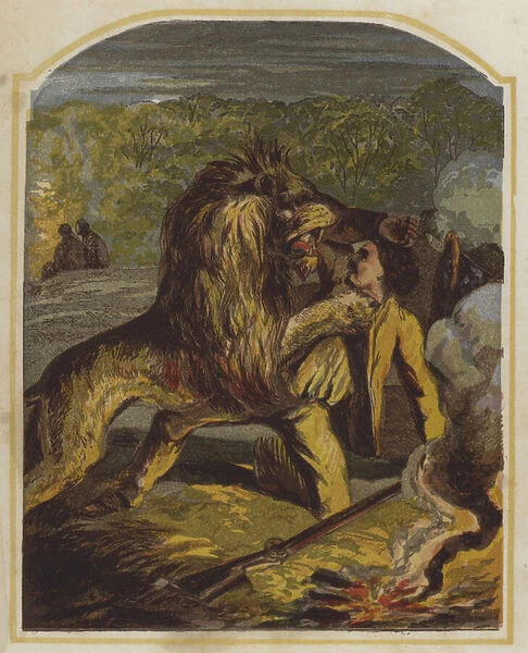 Scottish missionary David Livingstone attacked by a lion in Africa (chromolitho)
