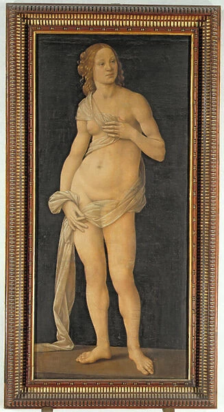 Venus. SCP50389 Venus by Credi, Lorenzo di (1456-1536); Galleria degli Uffizi