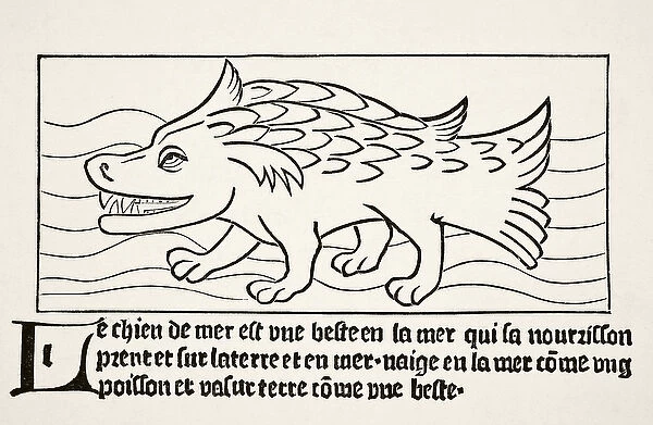 The Sea-Dog, from Science and Literature in the Middle Ages by Paul Lacroix