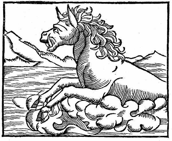 Sea monster, 1550 (engraving)