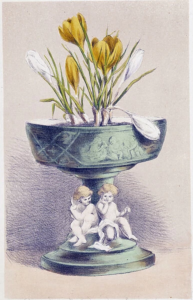 The Four Seasons: Spring, Daffodils, 1871