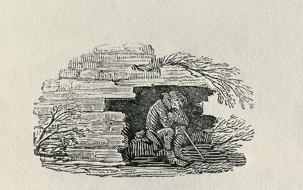 Seated Man Sheltering History of British Birds and Quadrupeds (engraving)