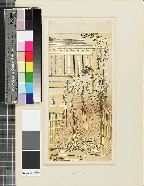 Segawa Kikinojō outside a house playing the part of a Hoso-ya courtesan, 1760-1778 (woodblock print)