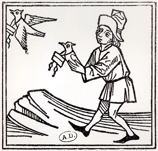Sending a letter by Pigeon Post, 1488 (woodcut) (b  /  w photo)