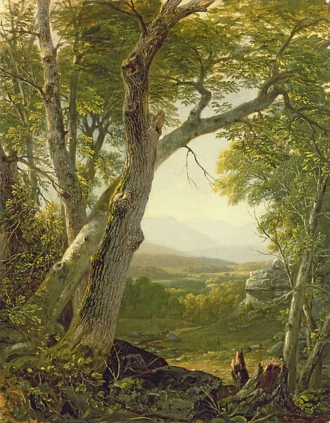Shandaken Ridge, Kingston, New York, c. 1854 (oil on canvas)