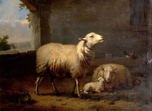 Sheep, 1876 (oil on canvas)