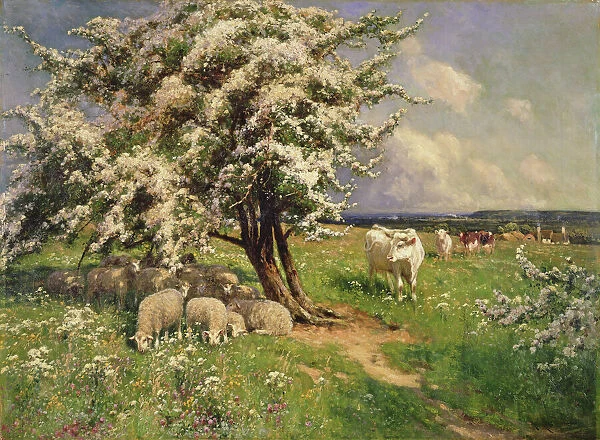 Sheep and cattle in a landscape (oil on canvas)