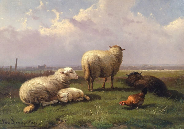 Sheep Dozing in a Pasture, 19th century