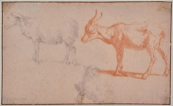 Two Sheep and a Goat (animal studies), 1625-54 (Chalk)