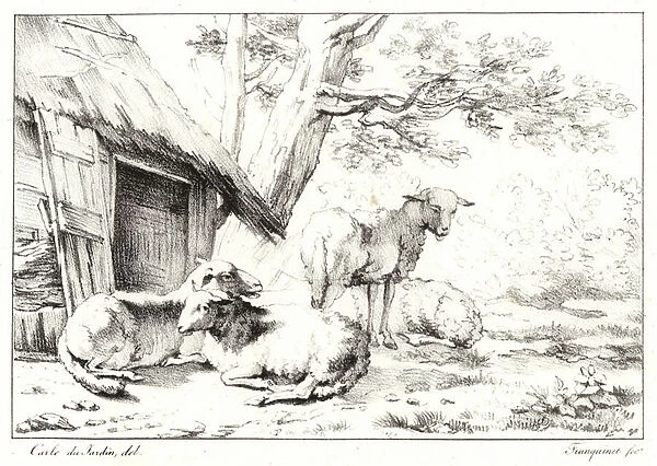 Sheep (litho)