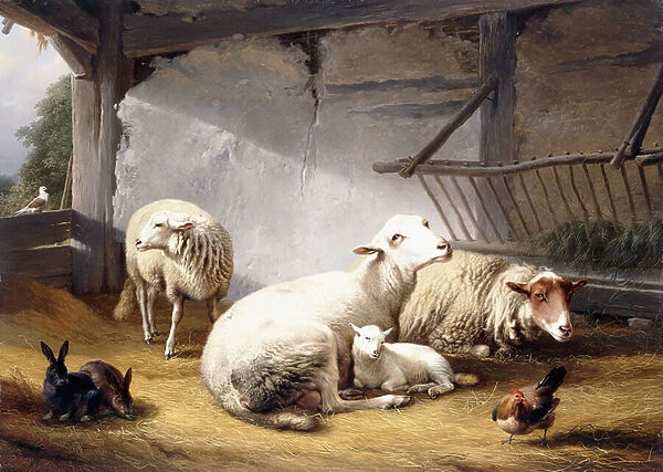 Sheep, Rabbits and a Chicken in a Barn, 1859 (oil on panel)