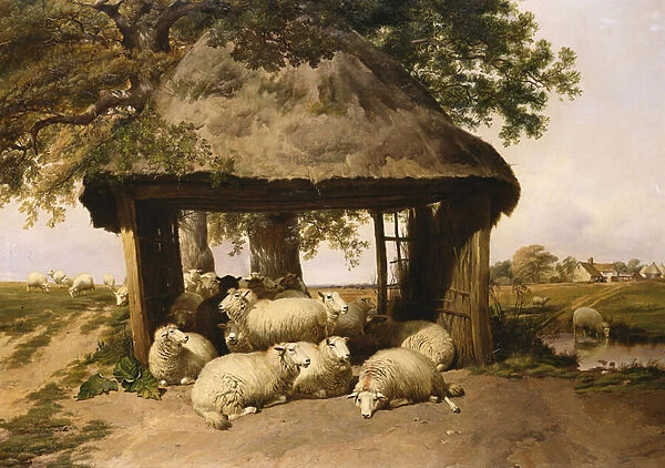 Sheep Resting Under a Shelter (oil on canvas)