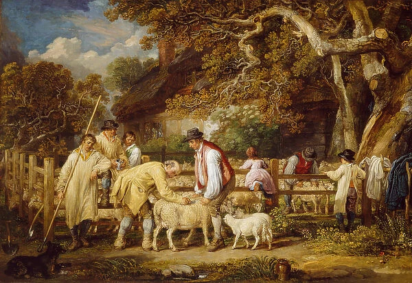 Sheep Salving, 1828 (oil on canvas)