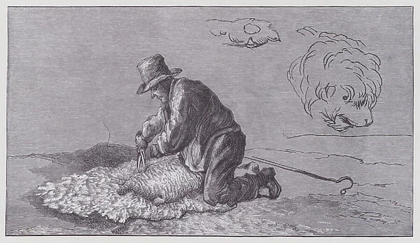 Sheep-shearing, 1813 (engraving)