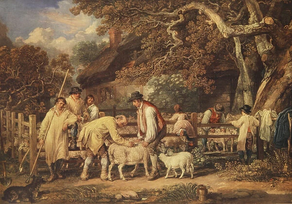 Sheep shearing, c. 1820 (colour litho)