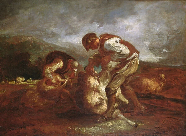Sheep Shearing (oil on canvas)