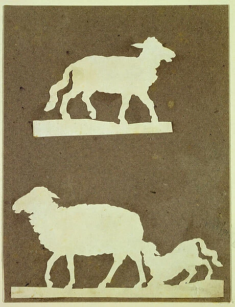 Sheep and Sheep with Lamb (collage on paper)