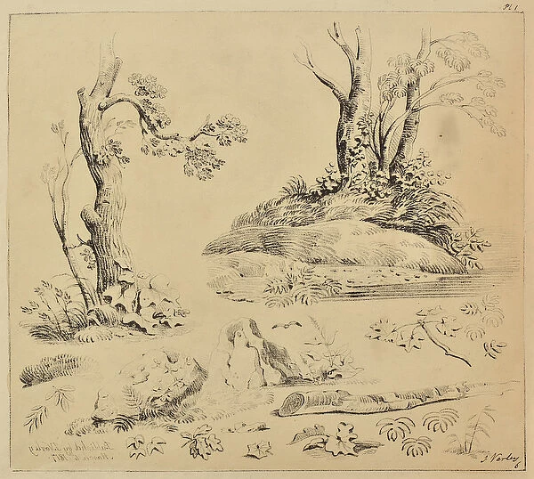Sheet of Studies of Tree-trunks and Foliage, 1817 (lithograph)