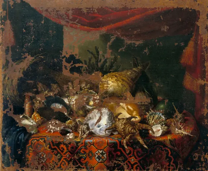 Framed Print : Shells. 3573754 Shells by Bimbi, Bartolomeo (1648-1725); Museum of Still Life
