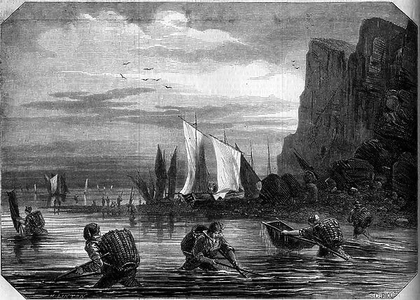 The shrimp fishing in the vicinity of Le Havre, Seine Maritme (76), 1860