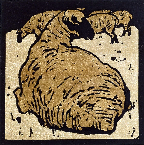 The Simple Sheep, illustration from The Square Book of Animals, published by William Heinemann, 1899 (hand-coloured woodblock print)