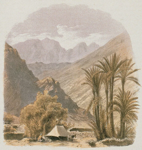 Sinai. Etching by Bernatz et alii - Steinkopk J. F. Editore