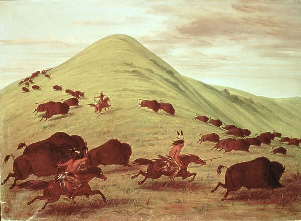 Sioux Indians hunting buffalo, 1835 (oil on canvas)