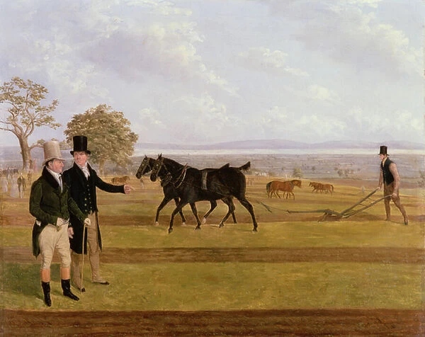 Sir Charles Morgan at the Castleton Ploughing Match, 1845 (oil on canvas)