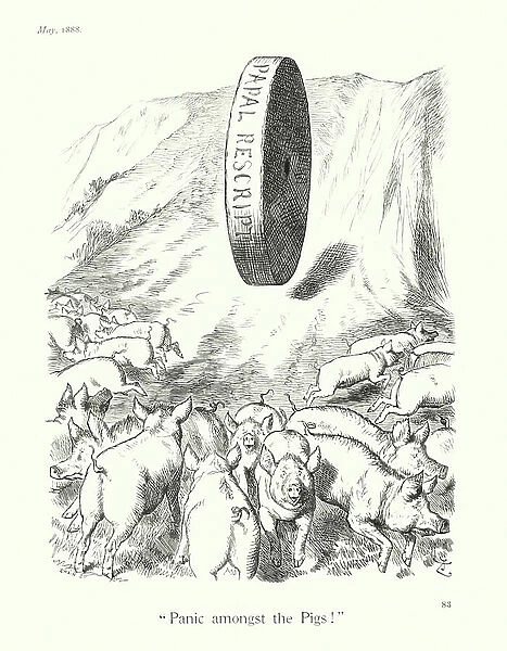 Sir John Tenniel cartoon: 'Panic amongst the Pigs!' (engraving)