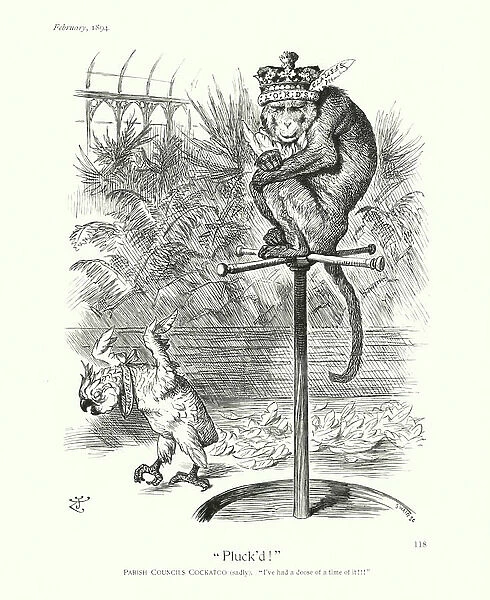 Sir John Tenniel cartoon: 'Pluck'd!' (engraving)