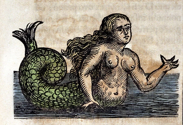 A Sirene, Legendary Person - Engraving from a work by Athanasius Kircher (1601 - 1680)