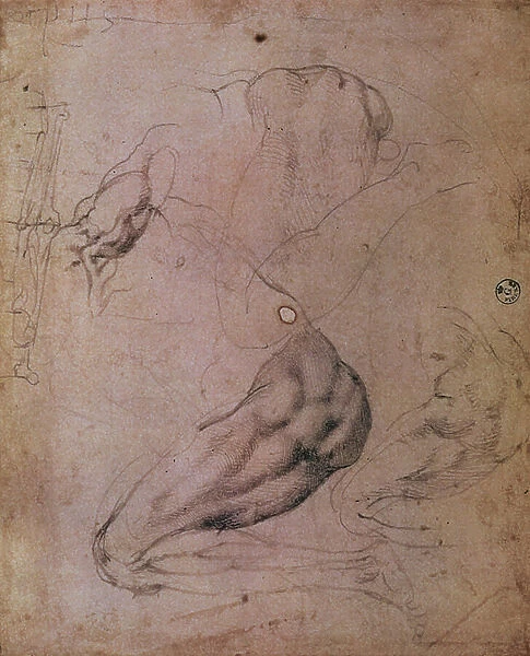 Sistine Chapel Ceiling (1508-12): sketches of the figure of Eve from the scene of The Original Sin (charcoal on paper)