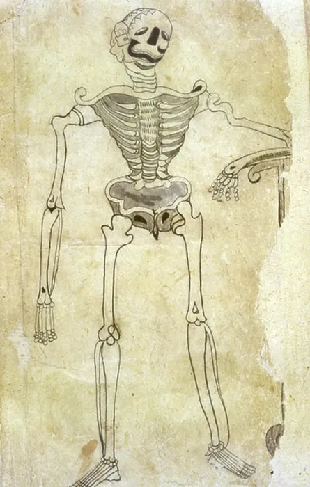 Framed Print : A skeleton Framed Print : A skeleton