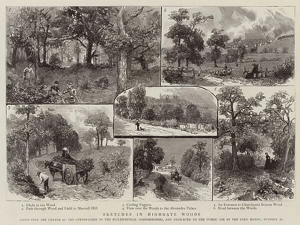 Sketches in Highgate Woods (engraving)