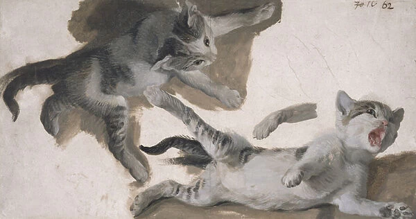 Sketches of a Kitten (oil on paper)