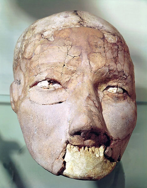 Skull, from Jericho, 7000-6000 BC (plaster, bone & shells)