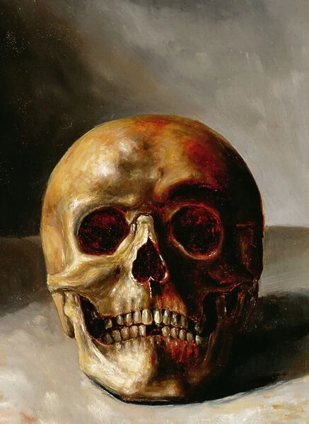 Skull (oil on canvas)