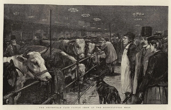 The Smithfield Club Cattle Show at the Agricultural Hall (engraving)